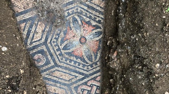 Csodás ókori mozaikpadlót tártak fel egy olasz szőlőbirtokon