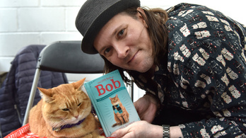 Elpusztult Bob, az utcamacska, a világ leghíresebb kóbor macskája