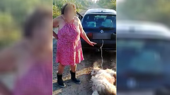 Felfüggesztettet kapott a kutyáját autója mögé kötő balotaszállási asszony
