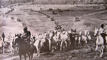 Az amerikaiak, a kozákok és a németek együtt mentették meg a lipicai ménest