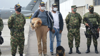 A kolumbiai katonaság megmentett két elrabolt külföldit és a kutyáikat