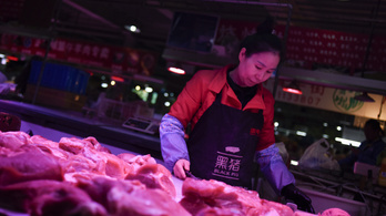 Hiába az új besorolás, még mindig árulnak kutyahúst Kínában