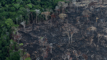 Legutóbb 13 éve lángolt olyan gyakran az amazóniai esőerdő, mint idén júniusban