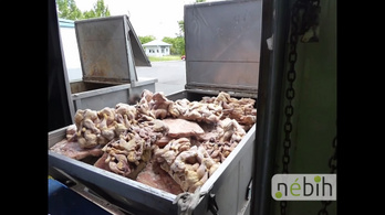 Több száz tonna egérszaros, penészes csirkét foglalt le a Nébih