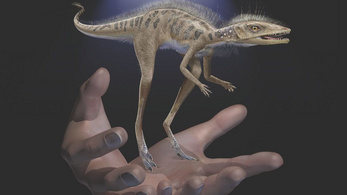 Apró kis pihés élőlények lehettek a dinoszauruszok ősei