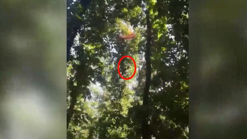 Videón, ahogy 20 méter magasból lezuhant a siklóernyős, akit éppen menteni akartak