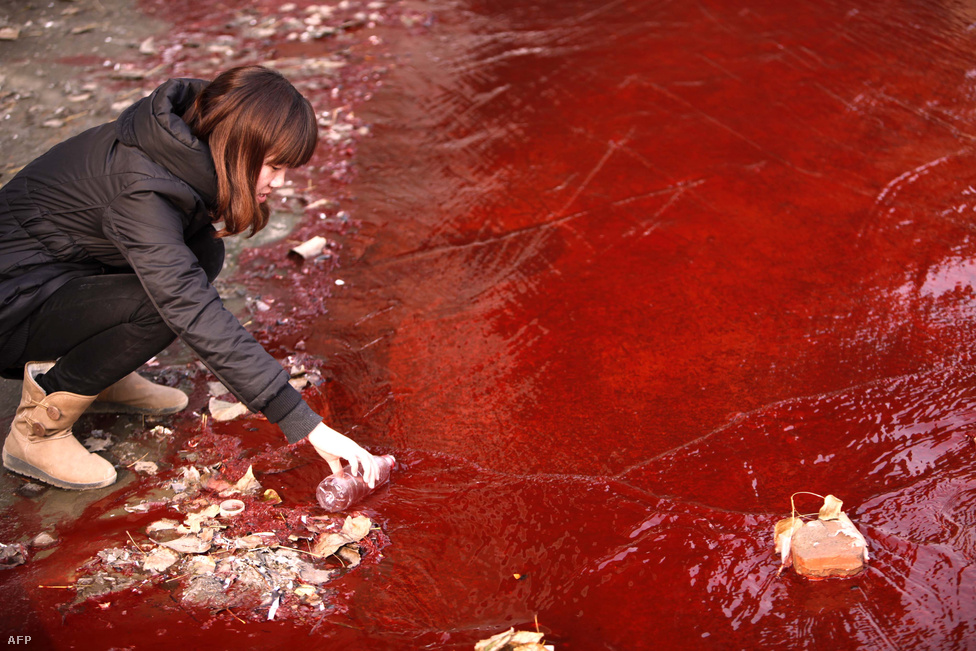 Mintát gyűjt a Csian- (Jian) folyóból egy nő a Kína északi részén található Henan tartományban, ahol a környék két nagy festékgyára önti a vízbe illegálisan a megmaradt festékanyagokat. A lég- és vízszennyezés becslések szerint évente milliók halálát okozza az országban.