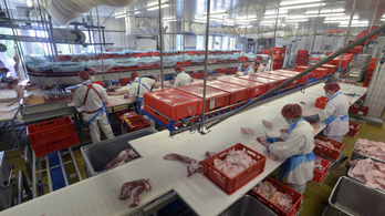 Átrendeződhet a hazai húsipar: a Spar megvette a Zimbót