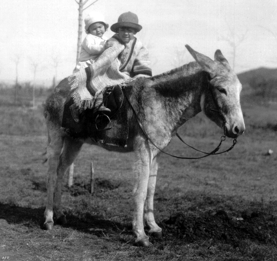 Az Argentínában született Guevara és húga, Celia egy szamáron lovagolnak. A fotó 1933-ban készült.
