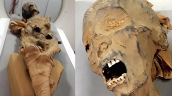 Szívrohamban halt meg a női sikító múmia