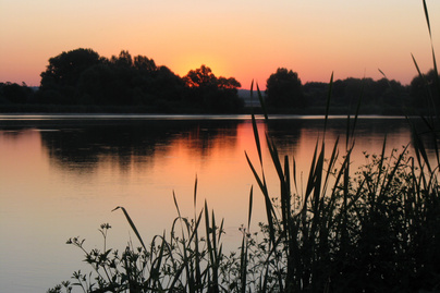6 csodás, frissítő budapesti tópart: andalogni, piknikezni és sportolni is tökéletesek
