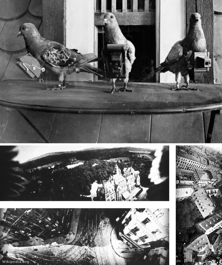 Galambok a hírszerzésben: 1907-ben egy német gyógyszerész ötlete alapján kezdtek először galambokat használni a felderítésben. Julius Neubronner állatokra szerelt könnyű, időzített kamerák felvételeivel kápráztatta el a közönséget a Drezdai Nemzetközi Fotókiállításon, technikájára pedig a hadsereg is felfigyelt. Bár a repülés megjelenésével a fotós galambok háttérbe szorultak, a CIA még az 1930-as években is használta őket titkos felderítő küldetésekre. A felső képen Neubronner galambjai, az alsón a madarakra szerelt kamerák felvételei.