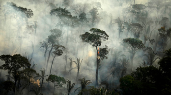 Egy hónap alatt csaknem 7000 erdőtüzet észleltek az Amazonas-medencében