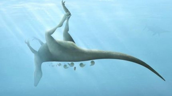 Új dinoszauruszfajt fedeztek fel a Wight-szigeten