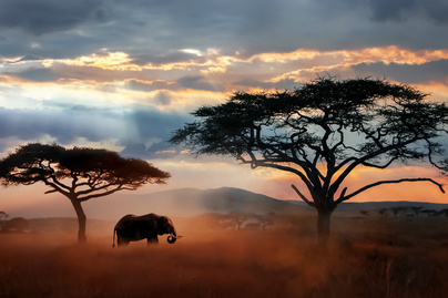 Az ezerarcú Afrikát fotózta a férfi 15 éven át: megmutatta kedvenc képeit