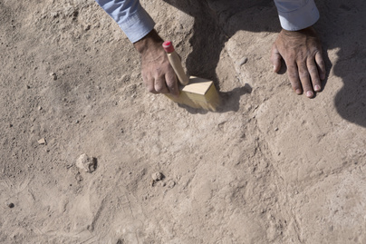 Fejlett eszközöket készített az ősember csontokból: 500 ezer éves tárgyakra bukkantak