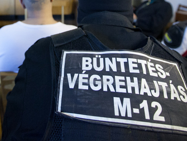 Tíz kiló sertéshúsért adták el a 16 éves magyar lányt