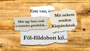 Összekeveredtek a verssorok! Így is felismered a leghíresebb magyar verseket?