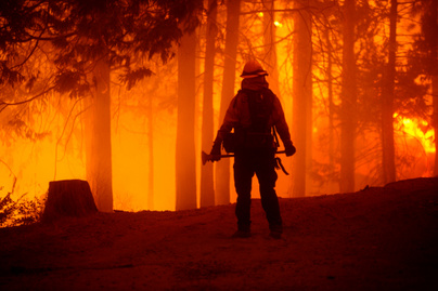 Megrázó fotók a kaliforniai erdőtűzről - Hatalmas területek váltak hamuvá