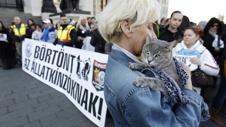 Svájc és Lengyelország az élen, Magyarország sereghajtó az állatkínzás elleni harcban
