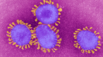 Új felvonás jöhet a koronavírus elleni harcban, találtak egy semlegesítő molekulát