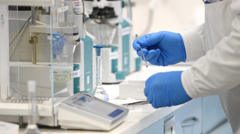 A hatósági árak miatt összeomolhat a PCR-tesztelési kapacitás