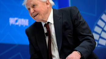 Sir David Attenborough: Nagyobb egyenlőség kell a népek között, a nagy nyugati nemzeteknek áldozatot kell hozniuk