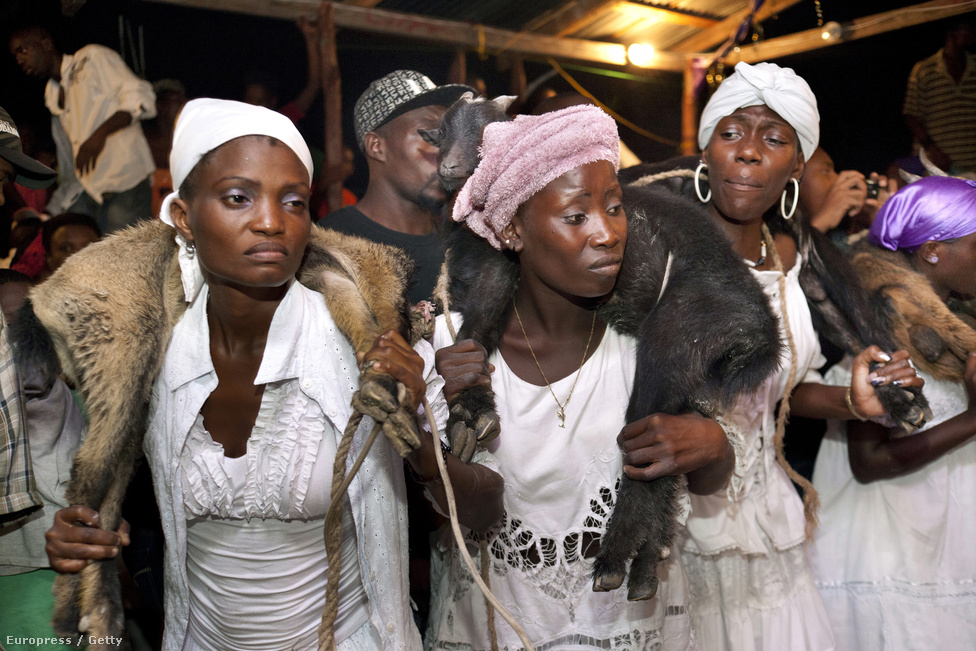 Vudu szertartással, kecskék levágásával tisztelegnek a holtak előtt Haitin