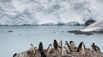 Újraindult a felmelegedés az Antarktiszi-félszigeten