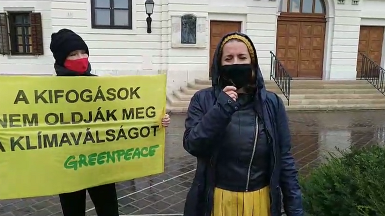 Háromnapos demonstrációt tart a Greenpeace a Várban
