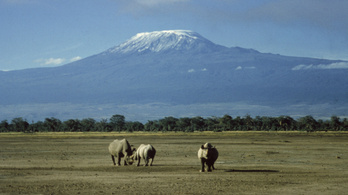 Nem csak a globális felmelegedés miatt zsugorodik a Kilimandzsáró hósapkája