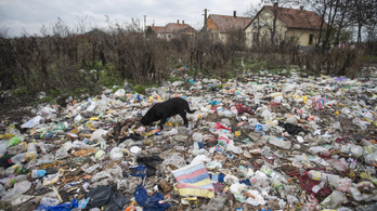 Szeméthelyzet Tiszavasváriban: már megjelentek a patkányok is