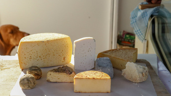 A gasztronómia reneszánsza, avagy a nyers tejes sajtok újrafelfedezése
