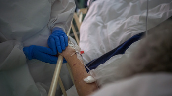 Infektológus: akár napi 100–150 halottja is lehet a koronavírusnak Magyarországon
