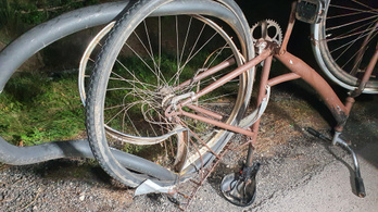 Kerékpárját toló gyalogost gázoltak halálra Bábolnán