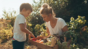 Ennyi zöldséget és gyümölcsöt kellene ennie naponta a gyereknek