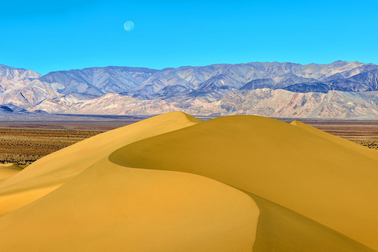 Tájak – 1. díj – Németh Tamás: Homokdűne hold-nyugtával – Mesquite Flat Dunes homokbuckái és a majdnem telihold lenyugvó koronája, amely közelíti a horizontot a Death Valley Nemzeti Parkban, Kalifornia, Egyesült Államok. Az alapos felkészülés ellenére, egyes fotók a túra során sokkal nehezebben jöttek össze a tervezettnél. A pokoli klíma és a homokvihar mellett a turisták nyomai sem tettek jót az előre megálmodott képnek. Ezért harmadszorra is nekifutottam a dűne meghódításának, ezúttal hajnalban, miután a vihar kisimította a homok felületét. A minél részletesebb végeredmény érdekében panoráma technika alkalmazását választottam. A táj mélysége megkívánta, hogy az egyes részeket fókusz sorozattal rögzítsem, így összesen 36 felvételből jött létre az alkotás.