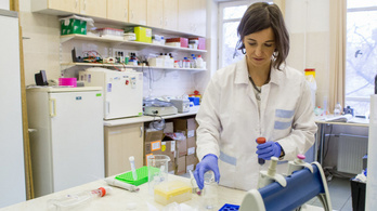 A Semmelweis Egyetem már dolgozik a koronavírus szövődményeinek gyógyításán