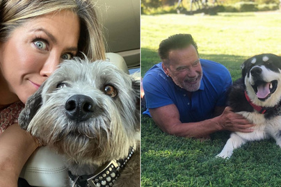 9 sztár, aki drága kedvenc helyett mentett kutyust fogadott örökbe: Jennifer Aniston rögtön hármat vett magához