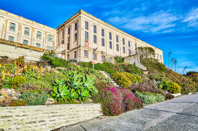Furcsa látványt nyújt az egykori börtönsziget: Alcatraz ma a burjánzó, egzotikus növényeiről is híres