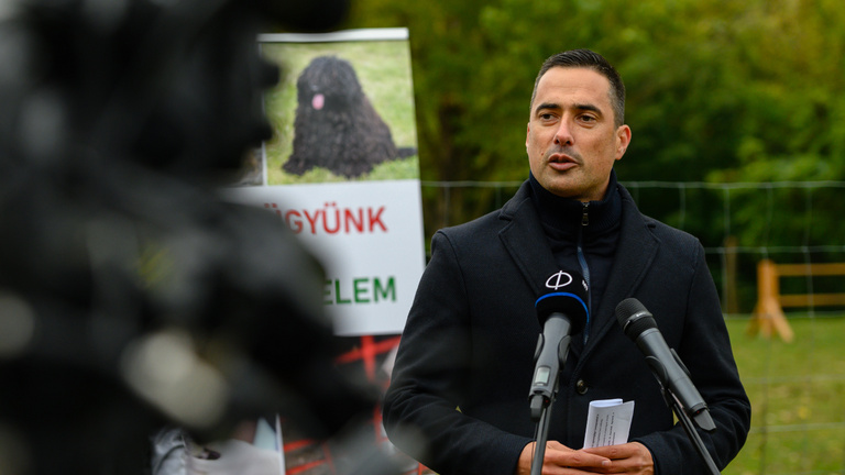 A magyar miniszteri biztos letöltendőt adna az állatkínzóknak