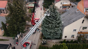 Videó: az ország karácsonyfájának minden méterére jutott egy tűzoltó