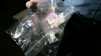 A bűnmegelőzési egyesület elnöke árulta a drogot a Balatonnál