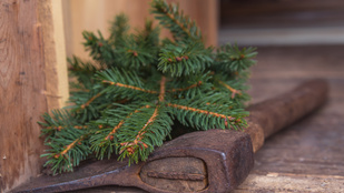 Tippek, hogy ne baltázd el a karácsonyfa-faragást