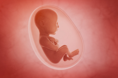 Ezért sírnak a babák az anyaméhben: 6 érdekesség a magzatról és a terhességről, amit sokan nem tudnak