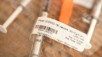 Jövő héten Pfizer-vakcina érkezik Szerbiába
