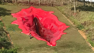 Modern művészet: egy zöldellő brazil domboldalt most hatalmas, vörös betonvagina díszít