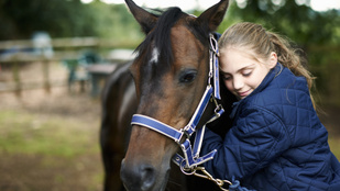 Tudod, hogy a kislányok miért imádják annyira a lovakat? Tudományos magyarázat is van rá