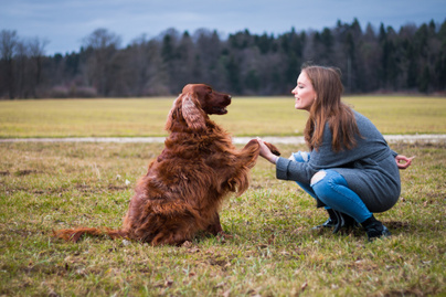 Mit tesz az aggyal és a szervezettel, ha valakinek kutyája van? Boldogabbá válik a neurológusok szerint