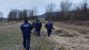 Gólya viszi a fiát: rendőrök hoztak le a hegyről Solymárnál egy bajba jutott túrázót
